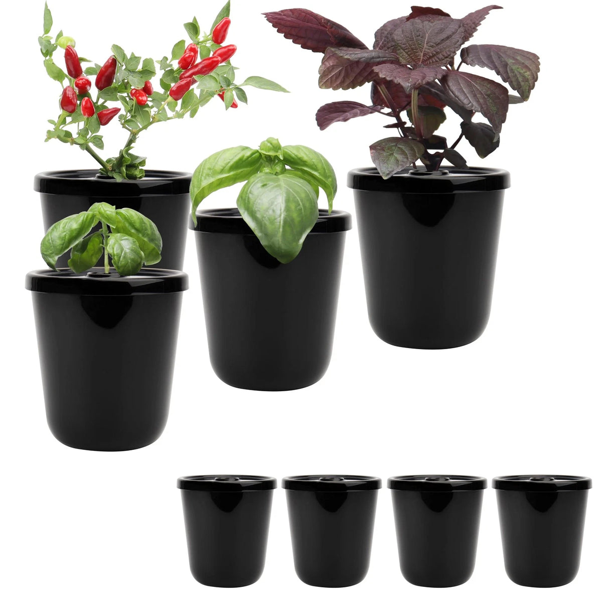 Kratky Method Hydroponic Planter Kit, 8 Plus 24 Black