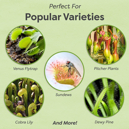 Premium Carnivorous Plant Food Spray by Perfect Plants | Foliage...