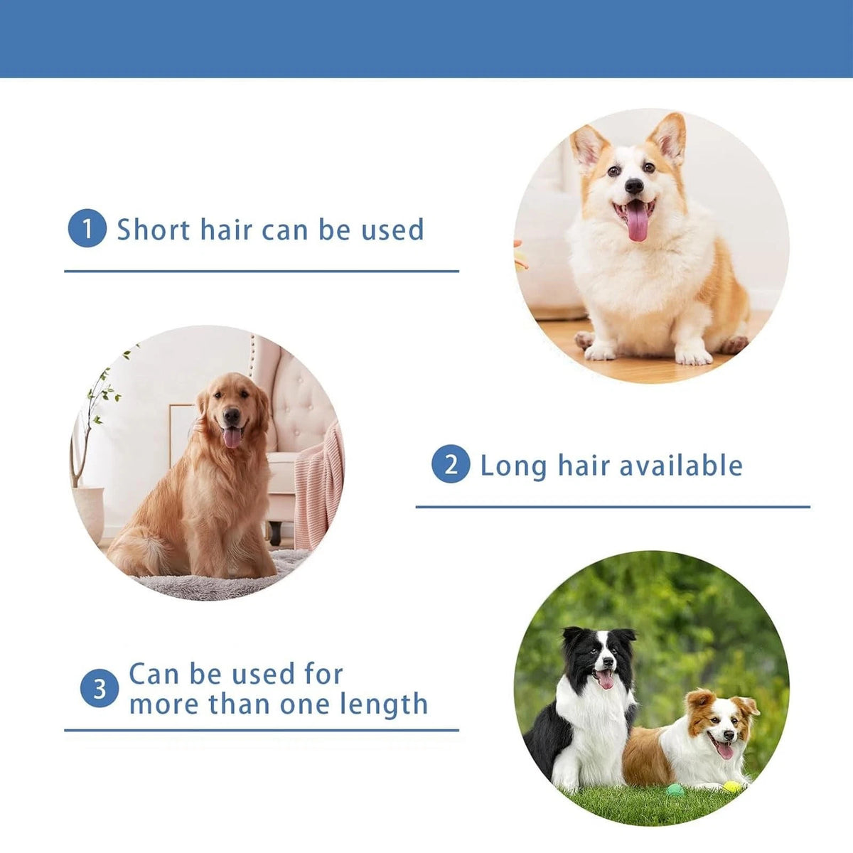 TGSBHIO 2 Pack Replacement Blade for nebot P1 Pro Pet Grooming Kit & Black-5