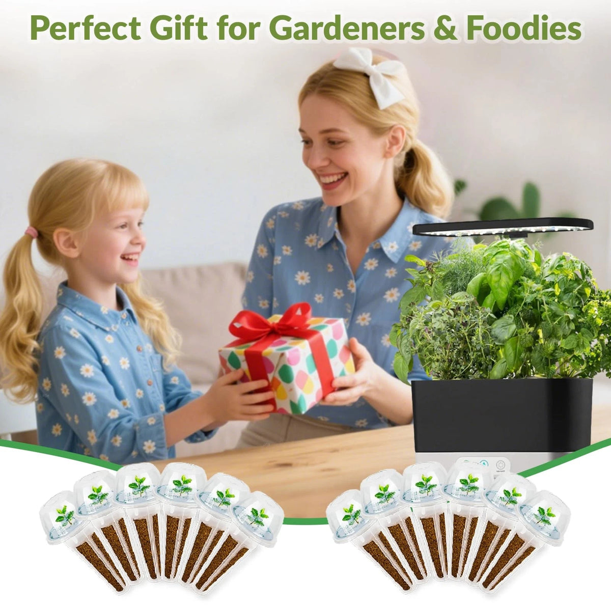 Herb Seed Pods Kit Hydroponic -12 Refill Grow with Classic Herbs