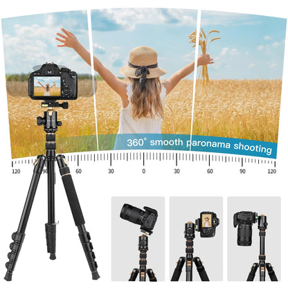 Professional DSLR Tripod for Photography - Tall, Lightweight & 76inch, Gold