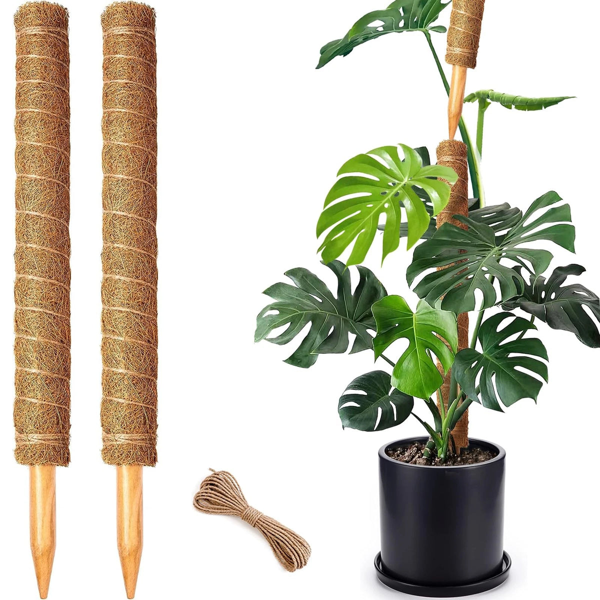 2 Pack 21 Inch Moss Poles, Stackable Pole for Plants 2 pack 21in, Brown