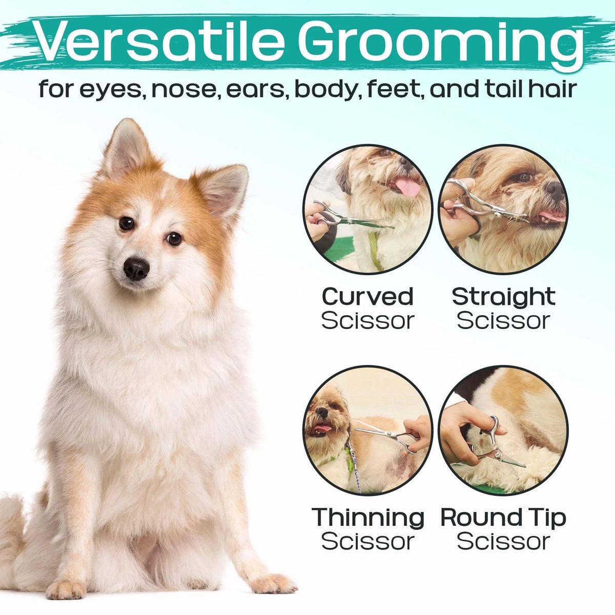 Pawtrim Professional Pet Grooming Kit – 6 in 1 Dog Pack of 6, Blue