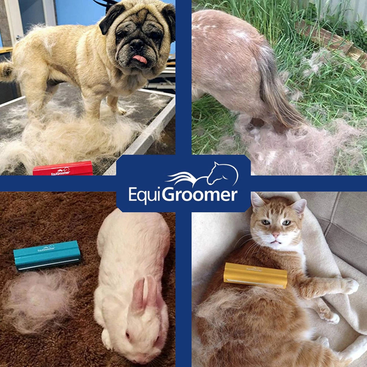 EasyGroomer Deshedding Brush for Dogs & Cats – Undercoat 5 Inch, Orange