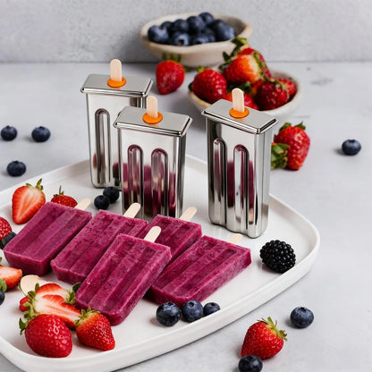 Popsicle Molds Set 10 Pieces Stainless Steel 10.1in x 4.7in x 6.7in, Silver