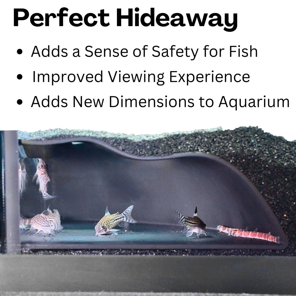 Lucky Critter Aquarium Underground Corner Cave Natural Curve | Viewing Black