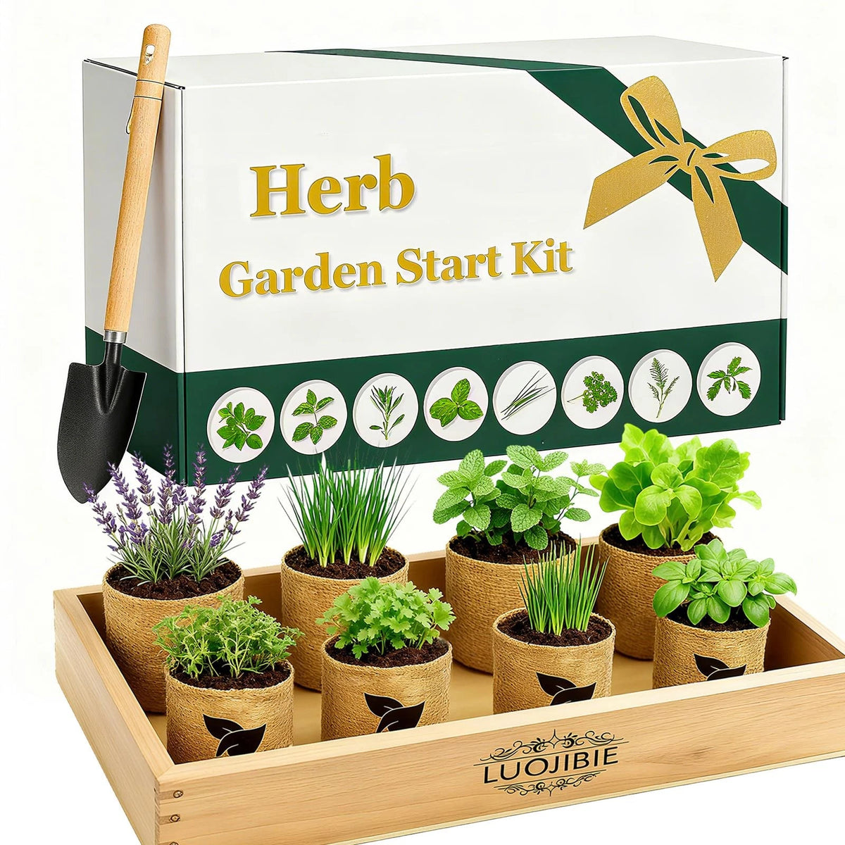 Indoor Herb Garden Start Kit - Unique Gifts for Women, Mothers Day 8X, Green