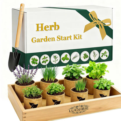 Indoor Herb Garden Start Kit - Unique Gifts for Women, Mothers Day 8X, Green