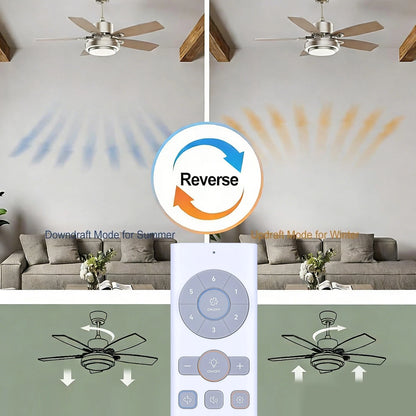 Remote Control For Dreo Smart Ceiling Fan with Lights CLF521S CLF513S and More