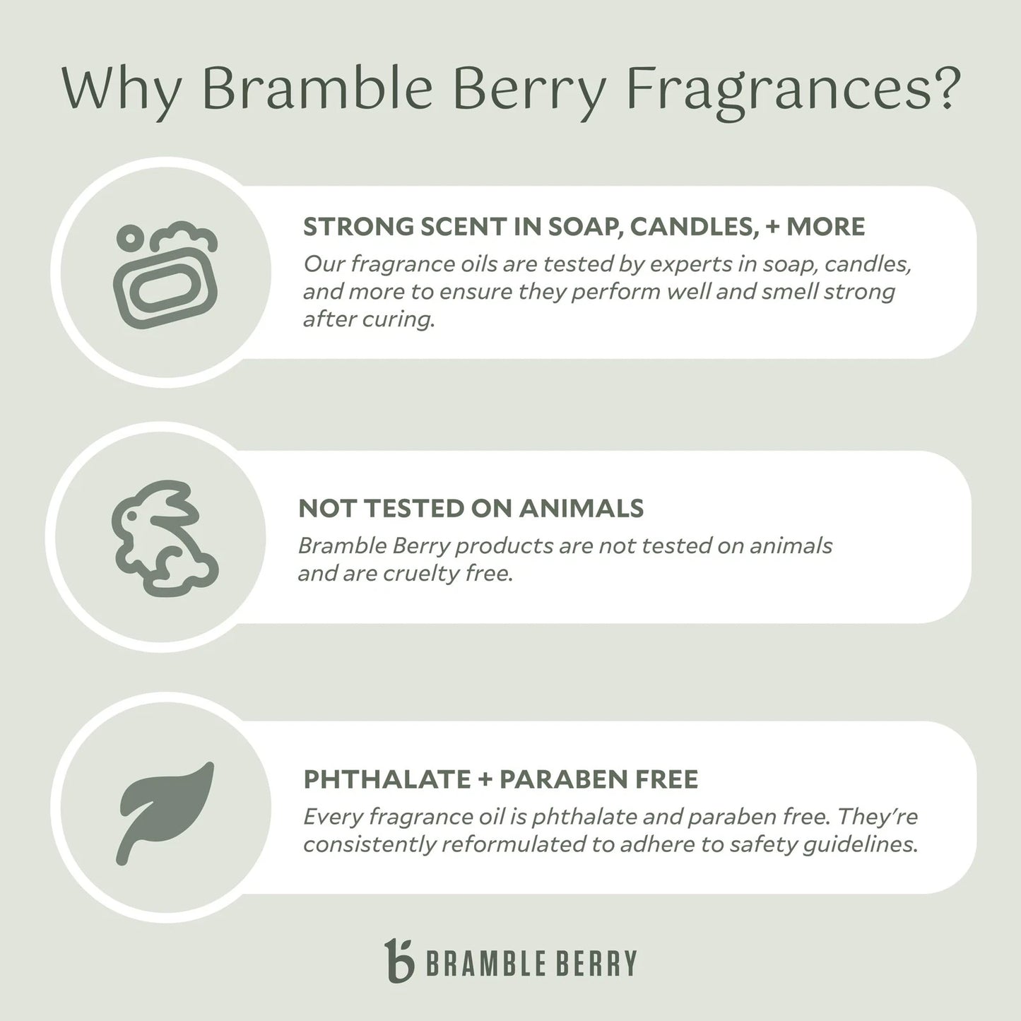 Brambleberry Cashmere Fragrance Oil | Vanilla 2 Fl Oz (Pack of 1),