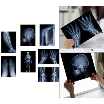 X-ray Science Education Package for Human Anatomy 8.3 inches by 11.7