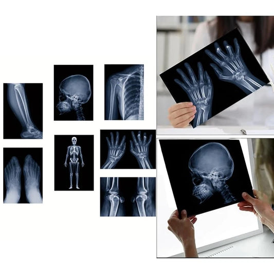 X-ray Science Education Package for Human Anatomy 8.3 inches by 11.7