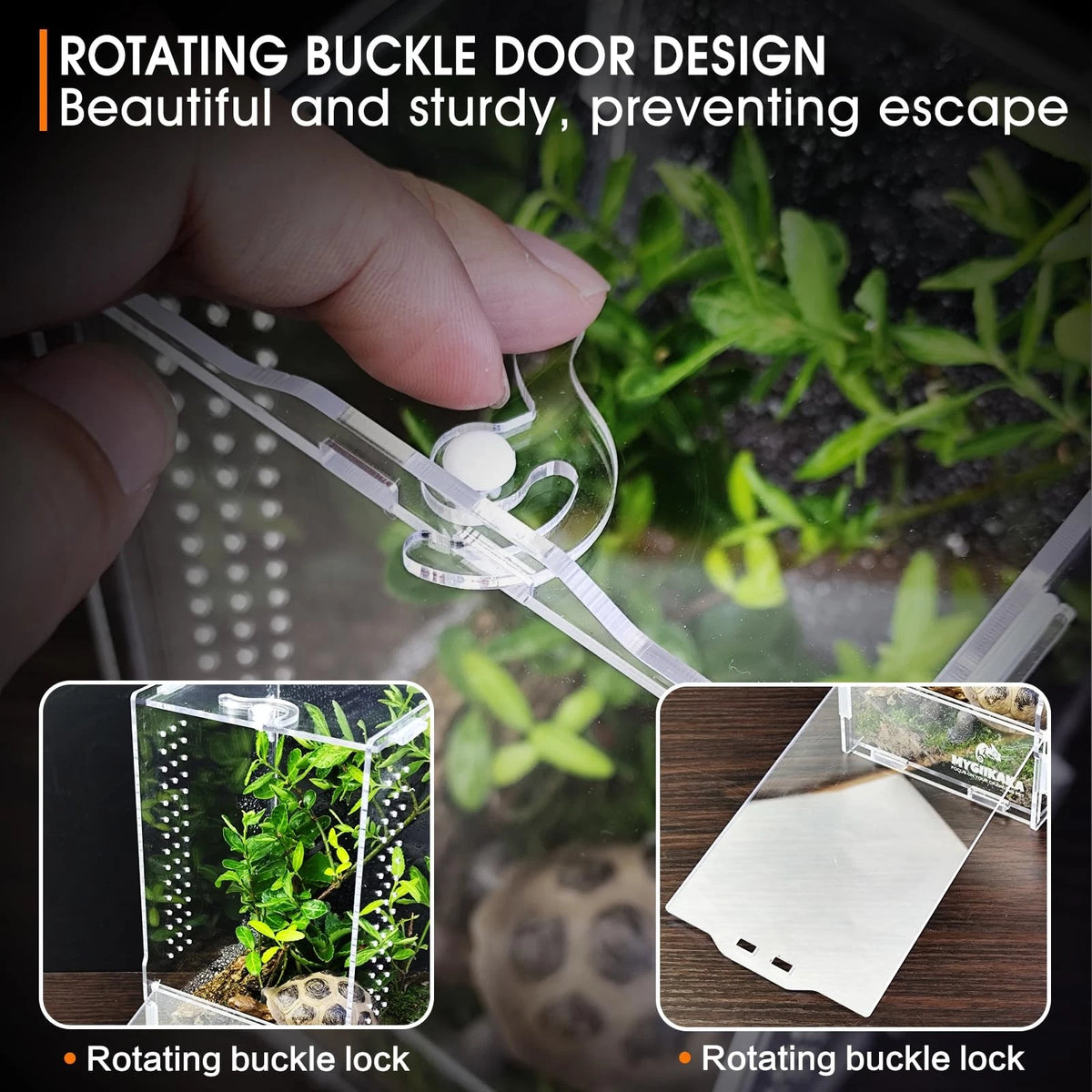 Acrylic Jumping Spider Habitat, Insect Terrarium, Bug Small, Transparent