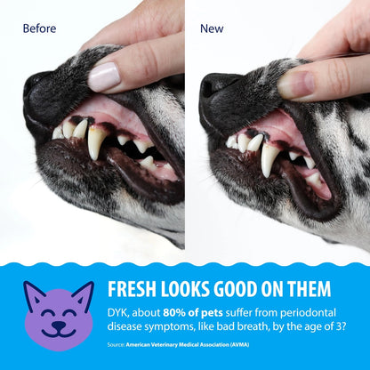 Veterinary Formula Dental Fresh Water Additive for Dogs 32 Fl Oz (Pack of 1)