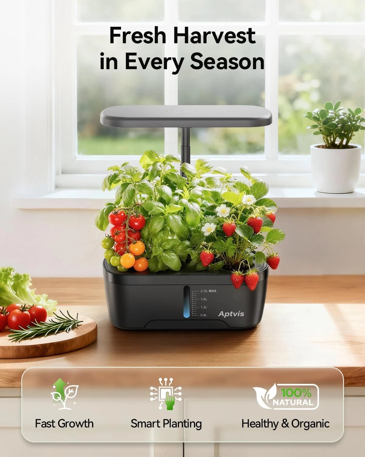 Aptvis Hydroponics Growing System, 6 Pods Smart Indoor Herb Garden with Black