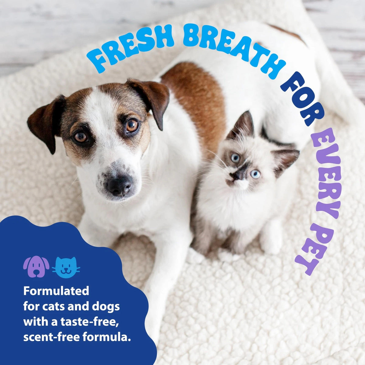Veterinary Formula Dental Fresh Water Additive for Dogs 32 Fl Oz (Pack of 1)