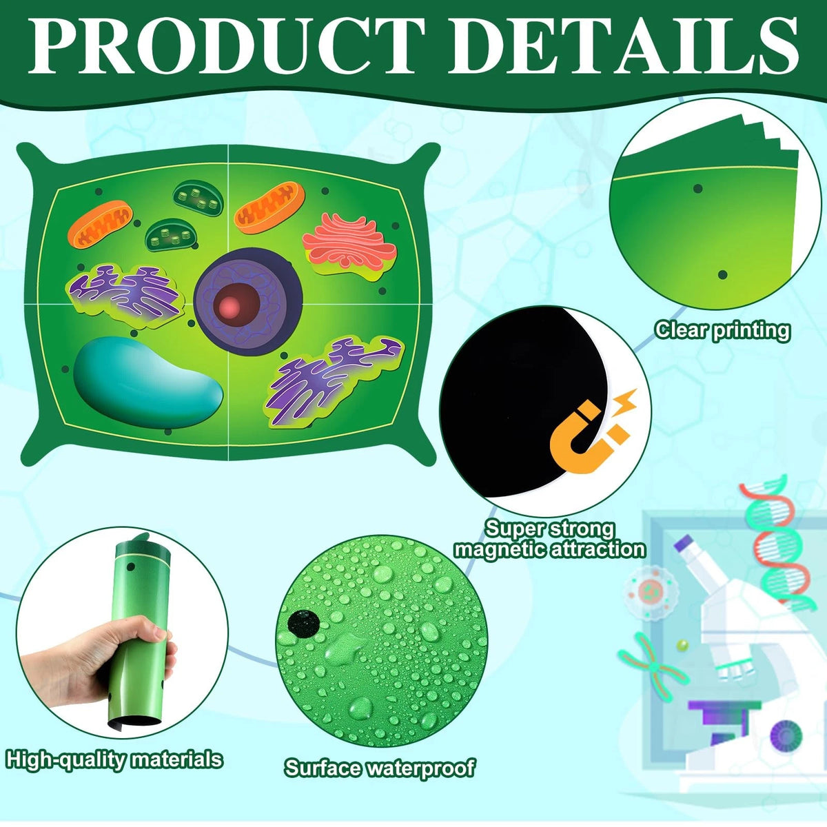 Leitee 18 Pcs Magnetic Plant Cell Model Kits Giant Teaching 17.8 x 13.7 in