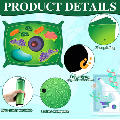 Leitee 18 Pcs Magnetic Plant Cell Model Kits Giant Teaching 17.8 x 13.7 in