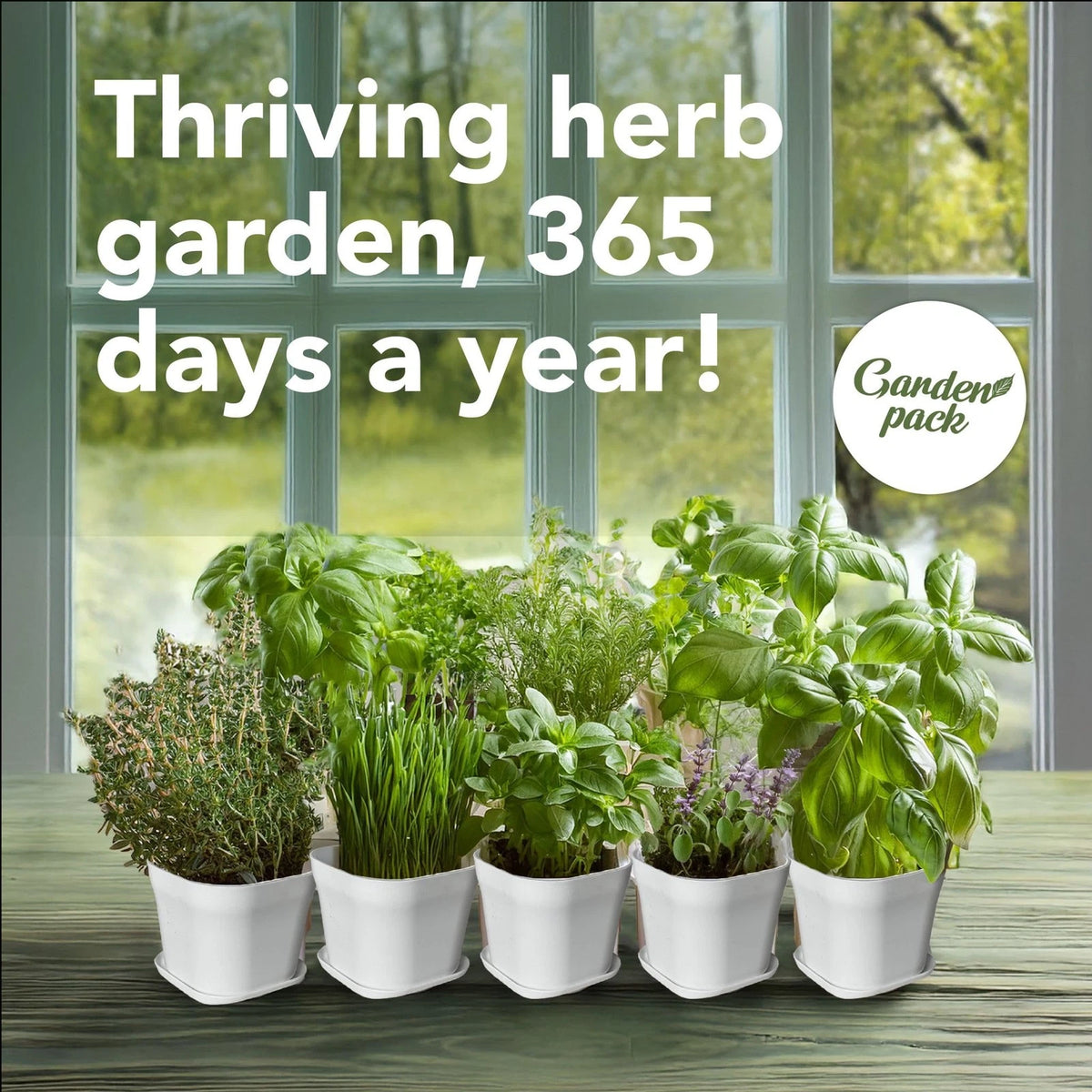 Garden Pack 10 Herb Indoor Window - Includes Pots, Trays, Green
