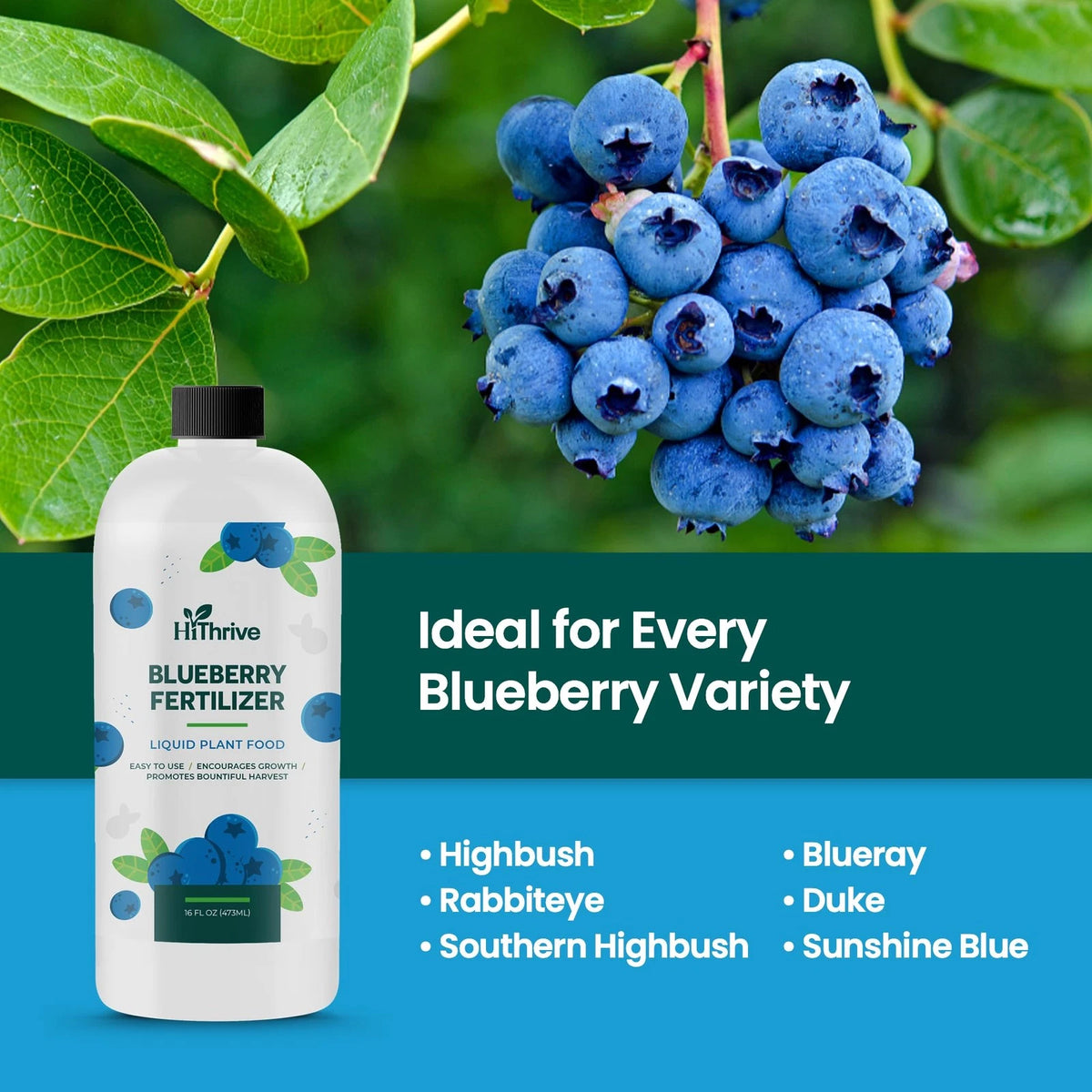 16oz Blueberry Fertilizer - Makes 16 Gallons of Fruit Tree 16 oz (1 Pint)