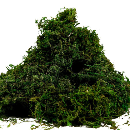 BYHER Artificial Moss Fake 10 inches x 4 x 3 inches, 3.5oz, Fresh