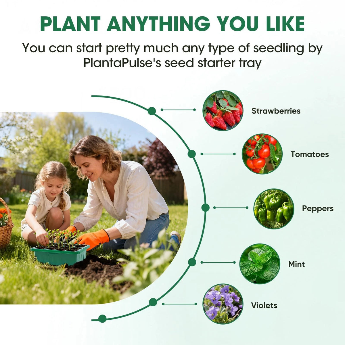 PlantaPulse 5 Packs Seed Starter Tray with 7.1 * 5.2 * 5.5 inch, Green