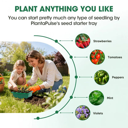 PlantaPulse 5 Packs Seed Starter Tray with 7.1 * 5.2 * 5.5 inch, Green