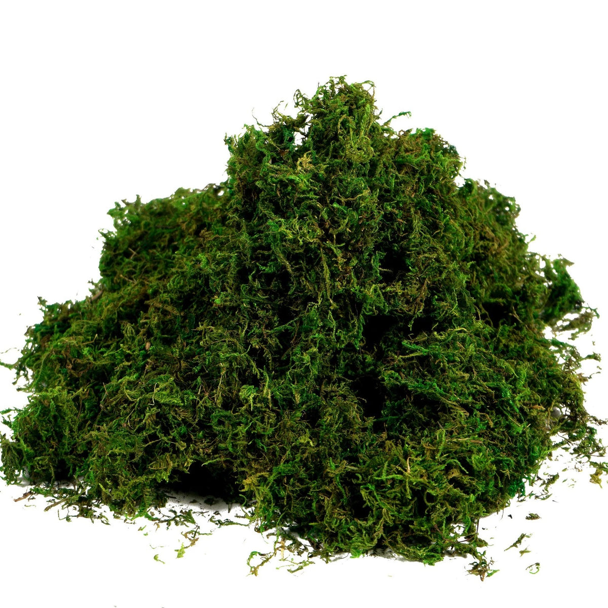 BYHER Artificial Moss Fake 10 inches x 4 x 3 inches, 3.5oz, Fresh