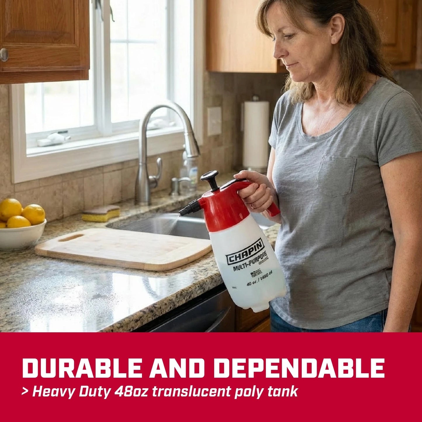 Chapin 1002 Handheld Pump Sprayer, 48oz, Multi‑Purpose, Lawn Red/white