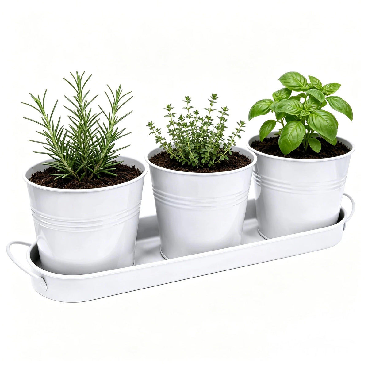 TCBWFY Indoor Herb Garden Planter Set - 3 Pack 4.7" White 4.7 inches,