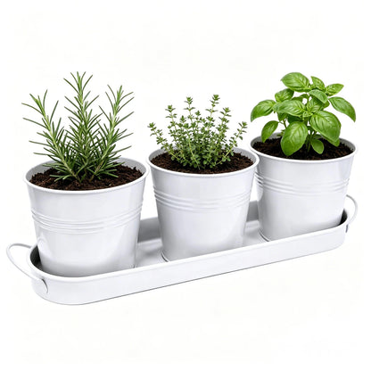 TCBWFY Indoor Herb Garden Planter Set - 3 Pack 4.7" White 4.7 inches,