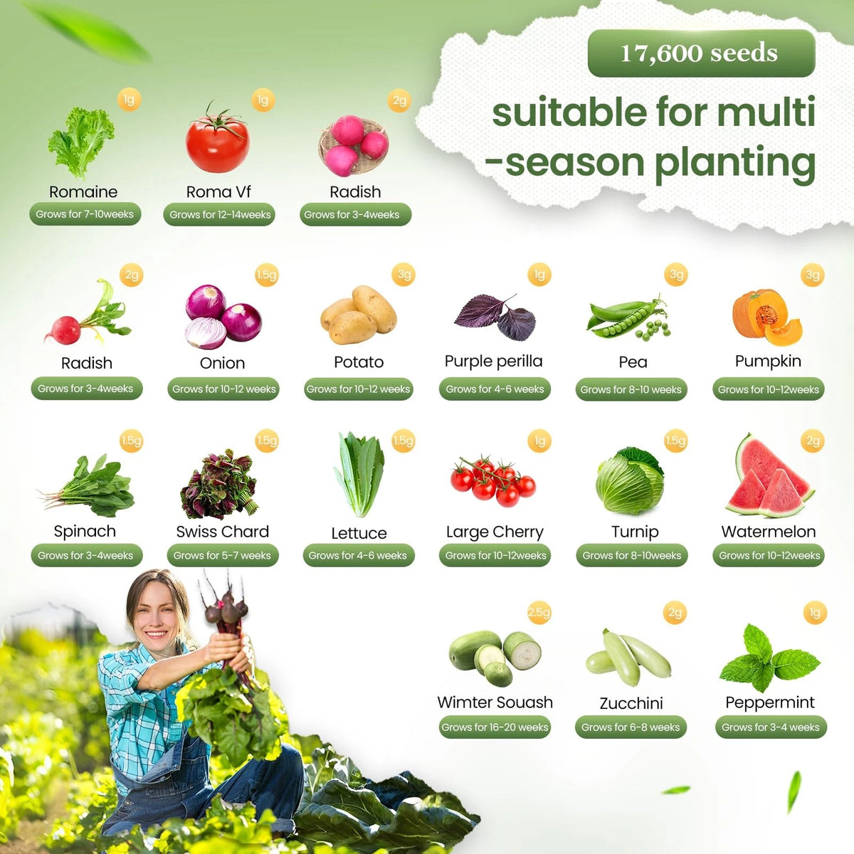 GermiGrow 36 Vegetable Variety Pack - 17,600+ Non-GMO Heirloom Seeds Yellow