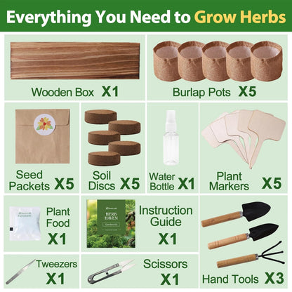 5 Herb Garden Planter Indoor with Wooden Box, Home Kitchen Seed B-Herb