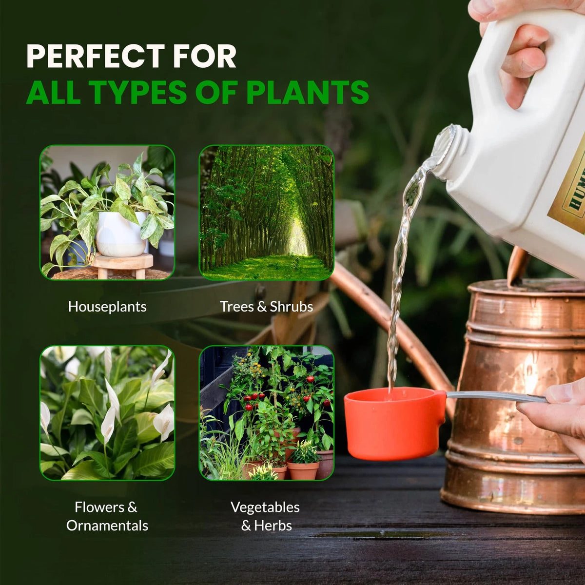 Humboldts Secret Base A & B Liquid Hydroponic Fertilizer | Complete 32 Ounce