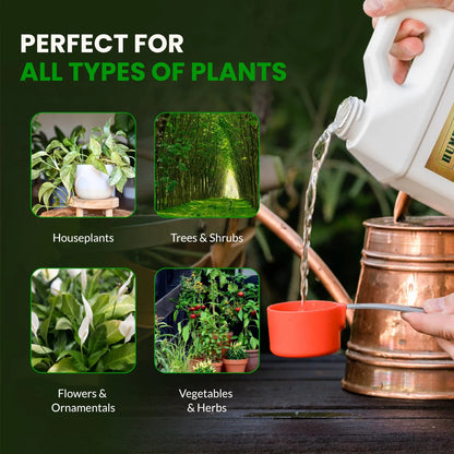 Humboldts Secret Base A & B Liquid Hydroponic Fertilizer | Complete 32 Ounce