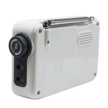 Portable AM/FM PLL Alarm Radio Support Smart Preset Feature SY-8801