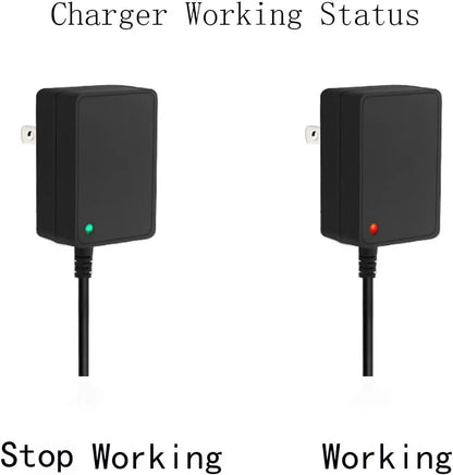 12V Charger for Razor Power Core E90 E95 Replacement Black Label E90, MX125...