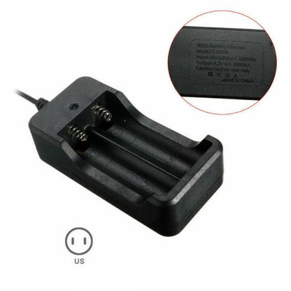 Family Charger Dock and LED Torch Plug Dock For Model 18650 Li-ion Charger Box r