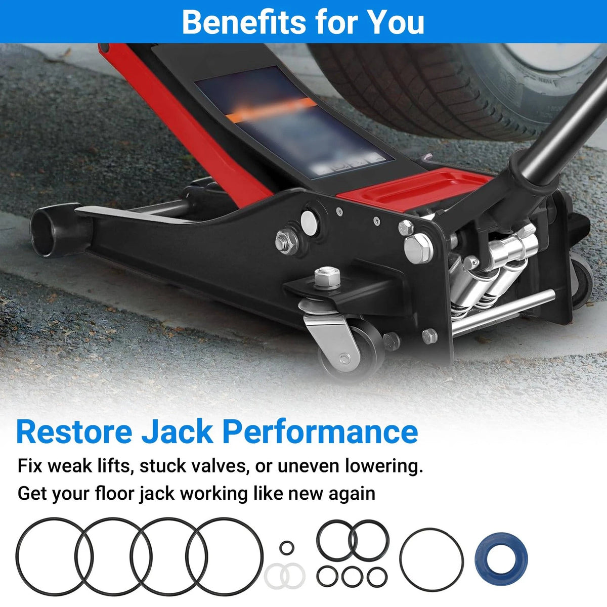 214.50136 Floor Jack Seal Replacement Kit with O-Ring Fit for Black