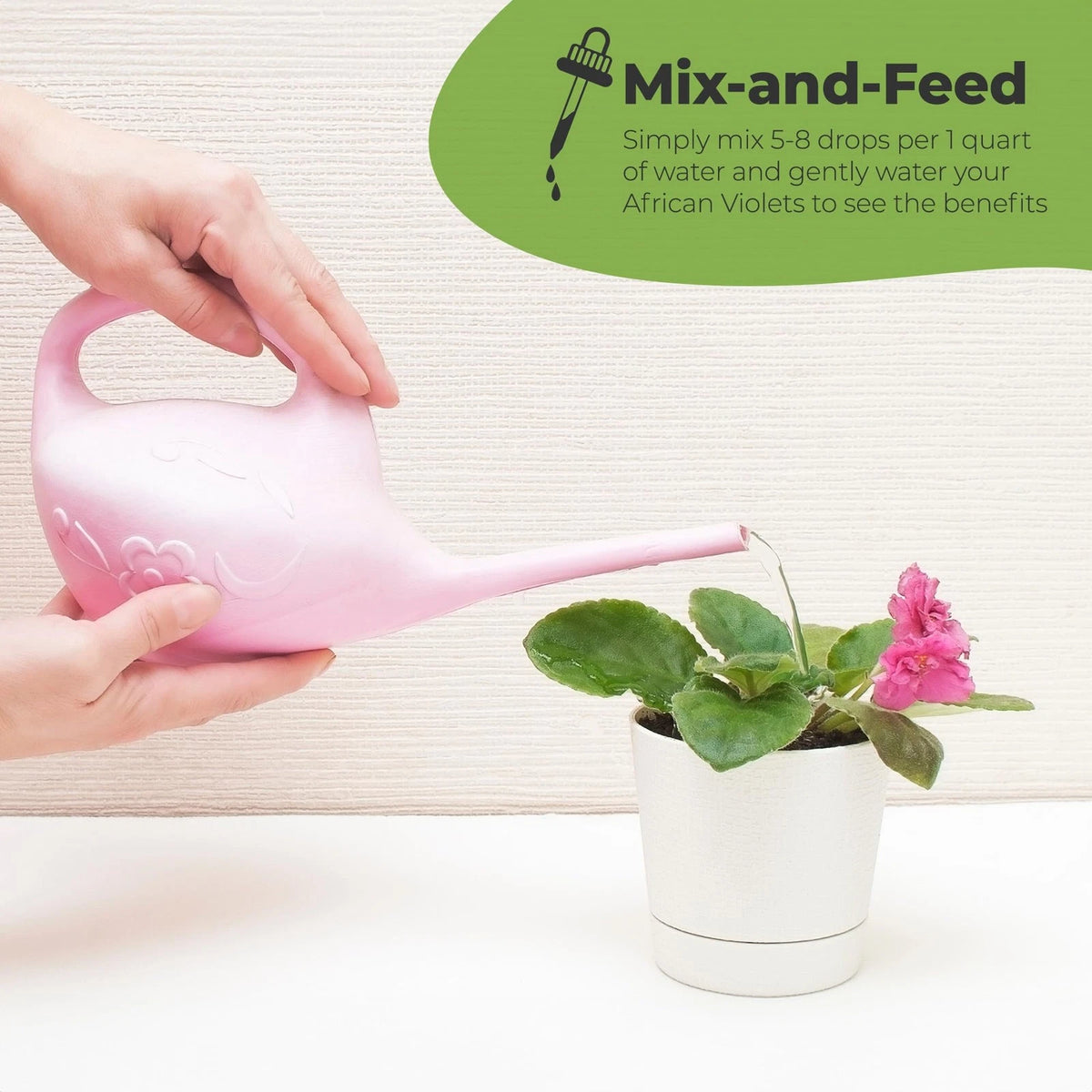 Liquid African Violet Food Drops by Perfect Plants | Fertilizer for Your...