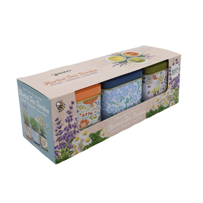 Buzzy Seeds Herbal Tea Garden Grow Kit 3-Pack - Metal Windowsill Floral