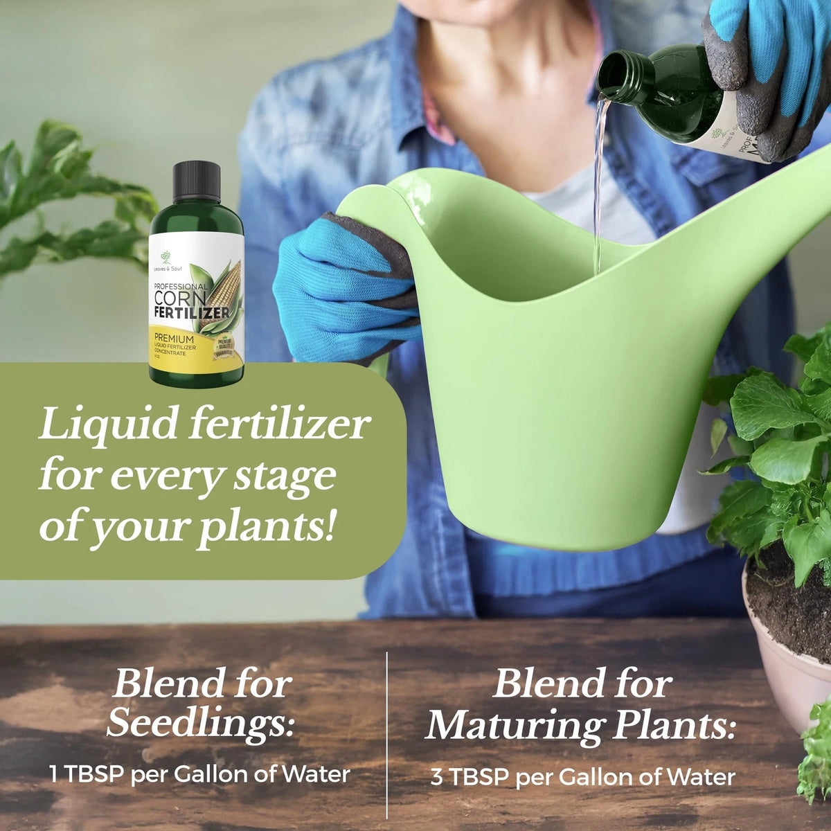 LEAVES AND SOUL Professional Liquid Corn Fertilizer | 5-1-5 Concentrate,
