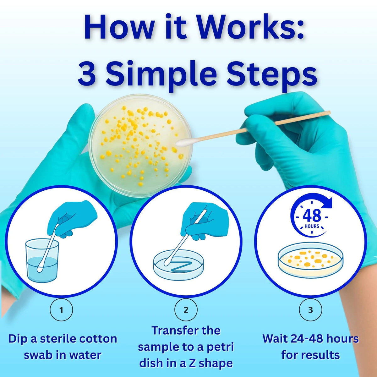 Evviva Sciences Water Bacteria Test Kit – 10 Tests for Total Bacteria,...