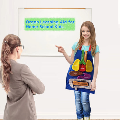 BOCZIF 3D Organ Apron, Human Body Organs Apron Awareness Educational Tool...