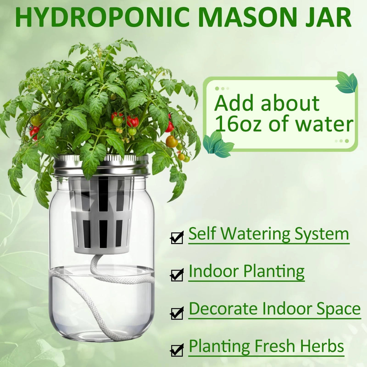 Teenyyou 12 Set Hydroponic Garden Mason Jar 6.5 x 3.46 inches, Clear, Black