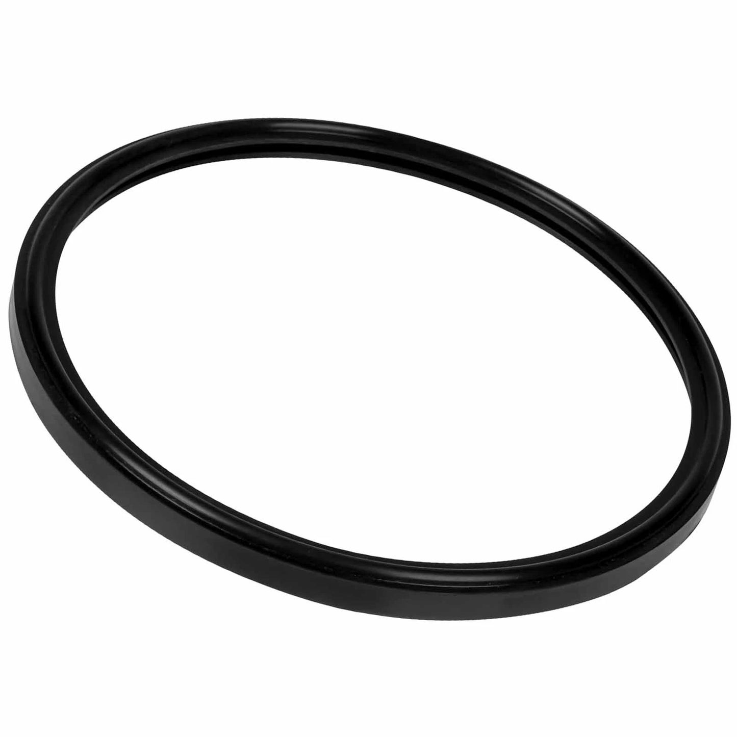Compatible with Hayward Astrolite Duralite Pool Light Lens Gasket SPX0580Z2