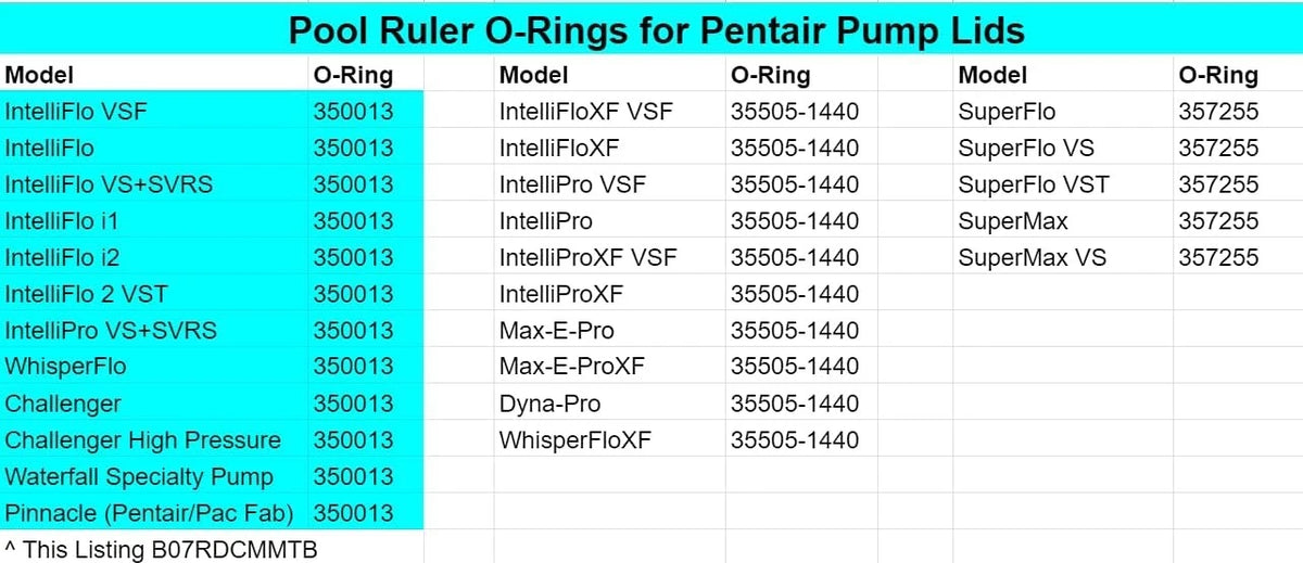 350013 Pentair Pump Lid O-Ring 2 Pack + Lubricant - IntelliFlo, Black