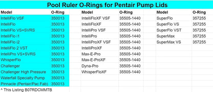 350013 Pentair Pump Lid O-Ring 2 Pack + Lubricant - IntelliFlo, Black