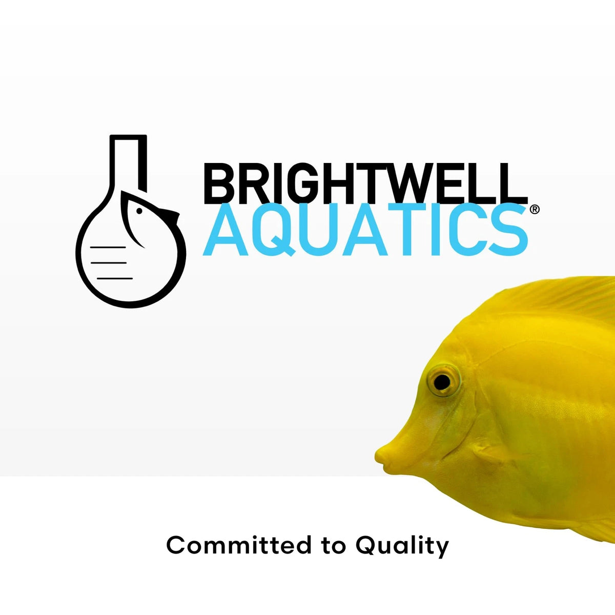 Brightwell Aquatics - Reef Code A - Balanced Calcium & Alkalinity System 1-L