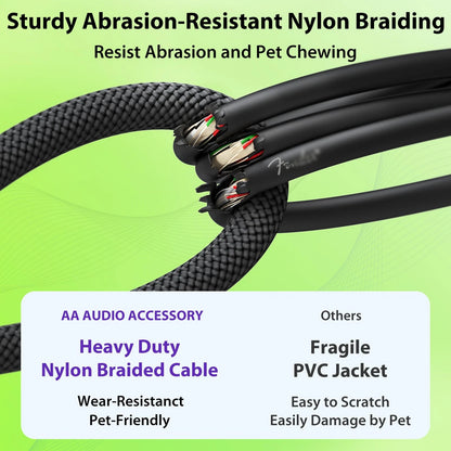 AA AUDIO ACCESSORY Guitar Cable 10 ft 2 Pack, Nylon Braided 10 ft, Black